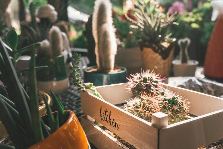 How to Start a Small Herb Garden Indoors: A Step-by-Step Guide